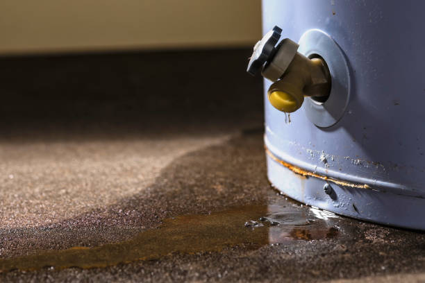 Best Water damage restoration services  in Woodbine, NJ