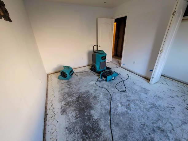 Best Residential water damage restoration  in Woodbine, NJ