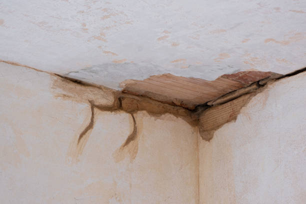 Best 24-hour water damage restoration  in Woodbine, NJ