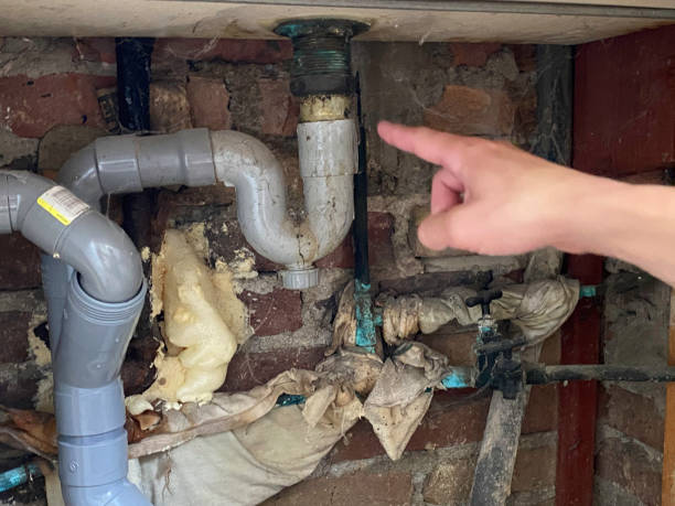 Best 24/7 water damage repair  in Woodbine, NJ