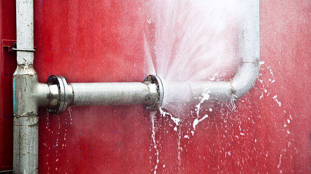 Best Water damage restoration insurance claims  in Woodbine, NJ